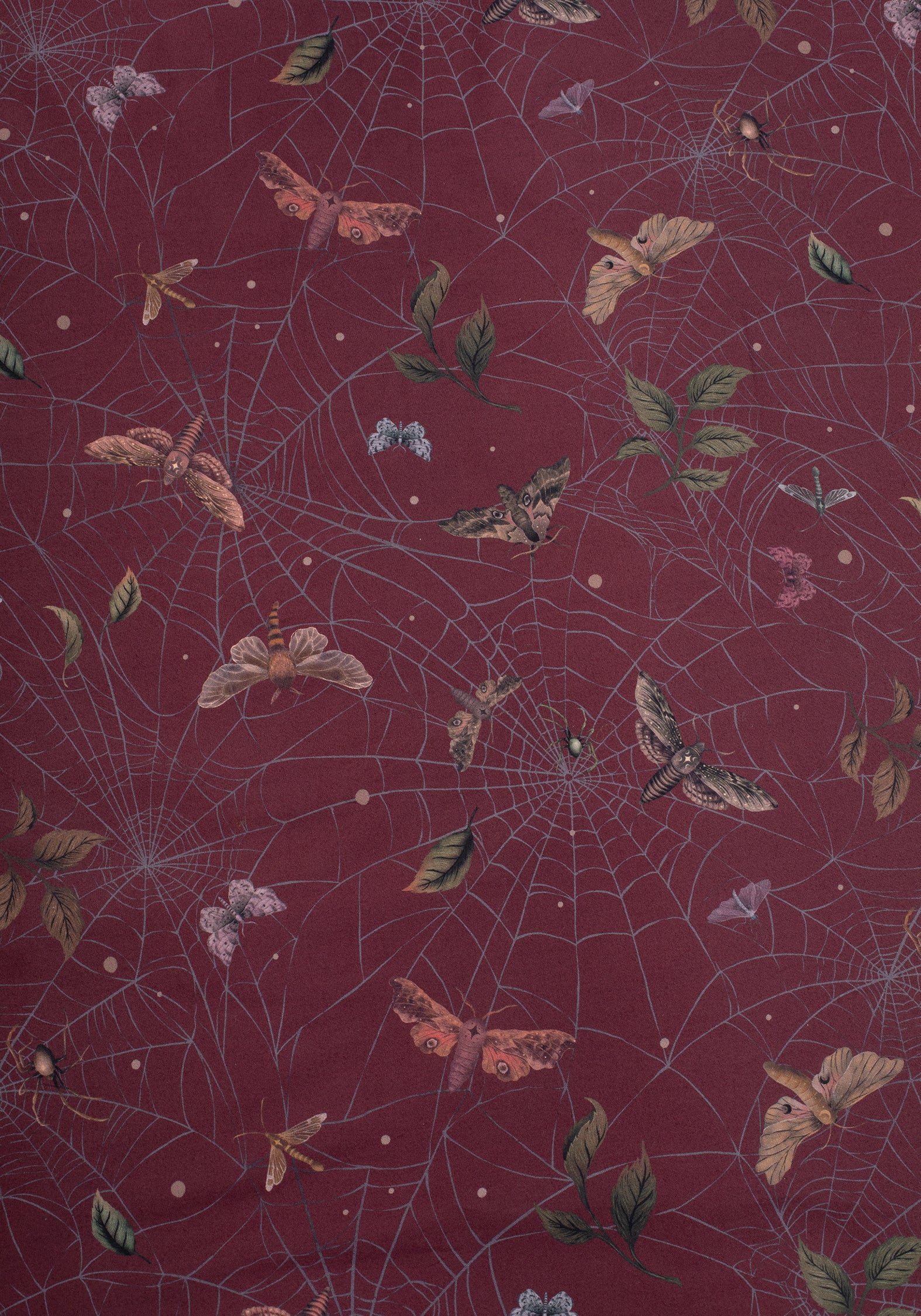 Celia Moth Web Bedding (US King) - Image 3